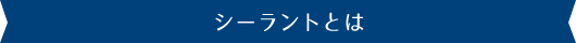 シーラントとは