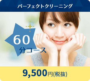 パーフェクトクリーニング 60分コース 9,500円(税抜)