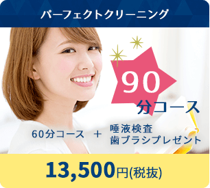 パーフェクトクリーニング 90分コース 13,500円(税抜)